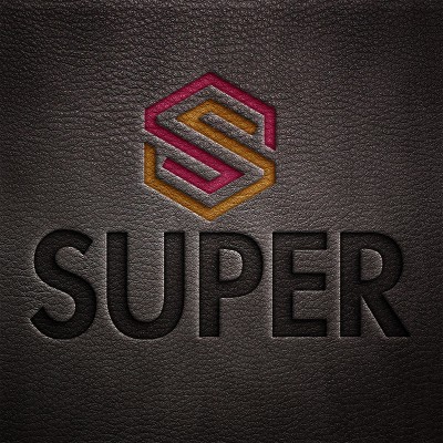 Hazır Tasarım Kurumsal S Harfi Logo