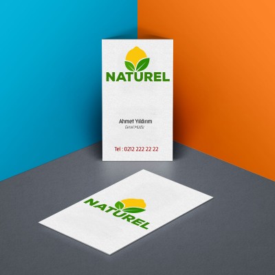 Hazır Tasarım Kurumsal Doğal Limon Logo
