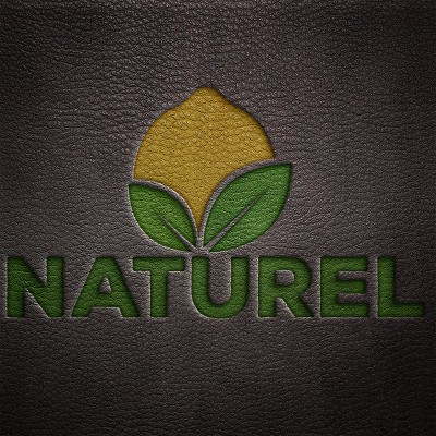 Hazır Tasarım Kurumsal Doğal Limon Logo