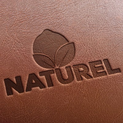 Hazır Tasarım Kurumsal Doğal Limon Logo