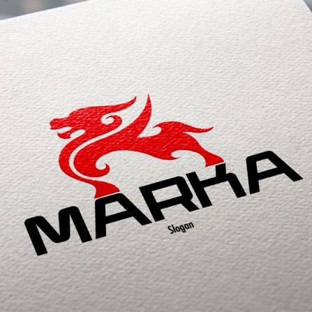 Ejderha Logo  Tasarımı