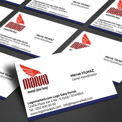 Şahin Başı ve Kanatlar Logo Tasarımı