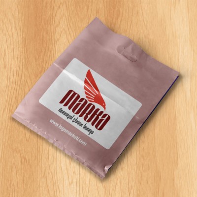 Şahin Başı ve Kanatlar Logo Tasarımı