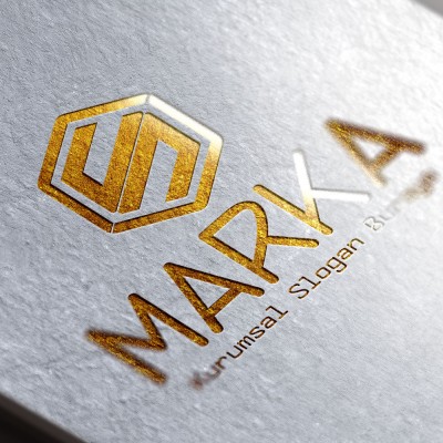 Altıgen S Harfi Logo Tasarımı