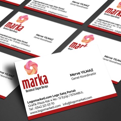 Rüzgar Gülü Logo Tasarımı